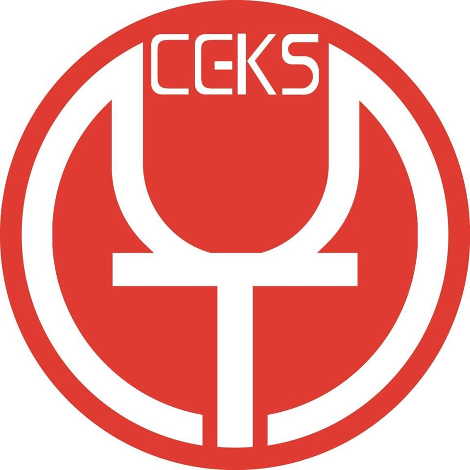 ceks trade and construction investment consult joint stock